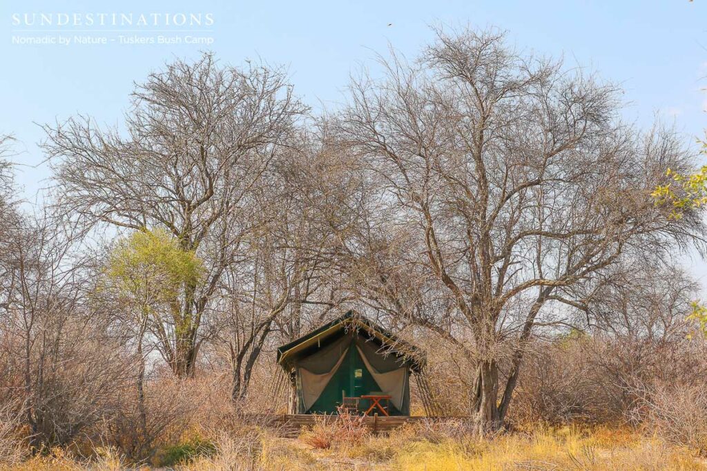 Tuskers Bush Camp tented suite Tuskers Bush Camp tented suite