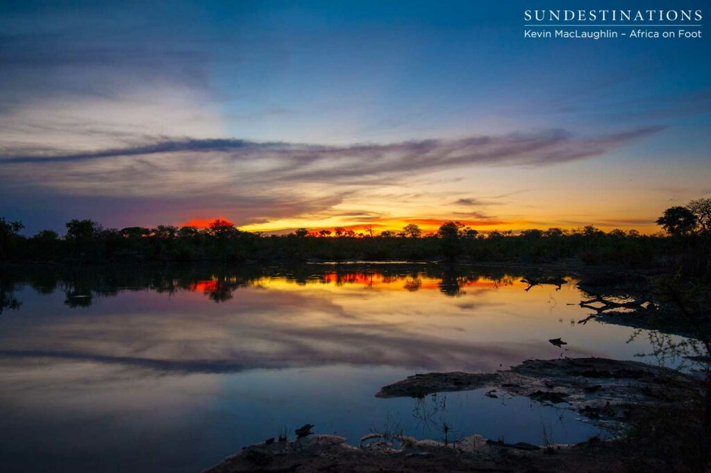 The final show of light for the day is always the most beautiful The final show of light for the day is always the most beautiful