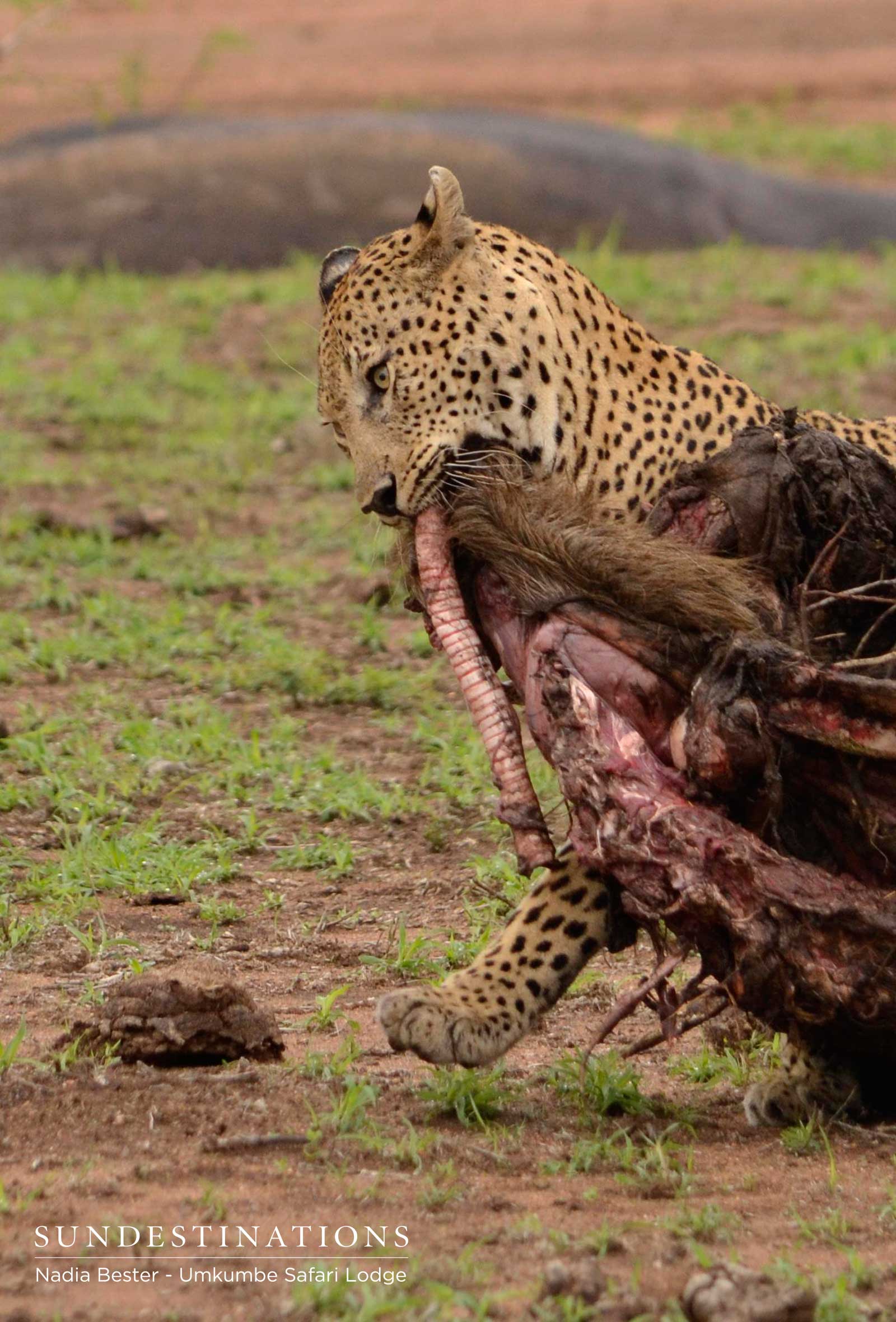 Max with Waterbuck Max with Waterbuck
