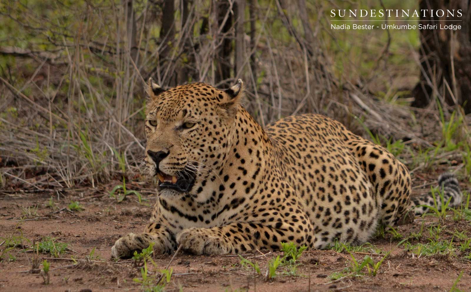 Mxabene with Full Belly Mxabene with Full Belly