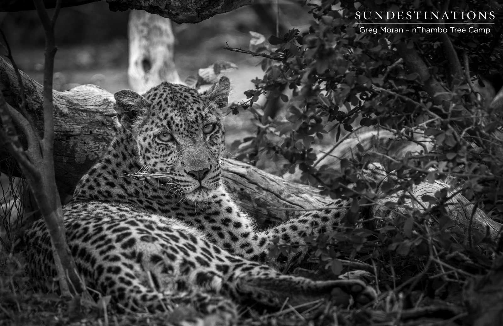 White Rock Relaxing White Rock Relaxing