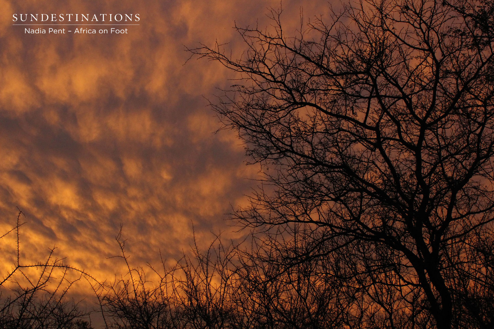 Africa on Foot Sunset Africa on Foot Sunset