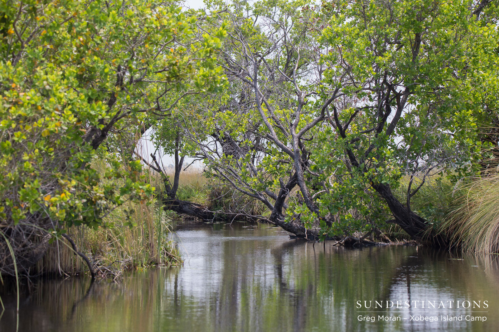Xobega Island Camp Xobega Island Camp