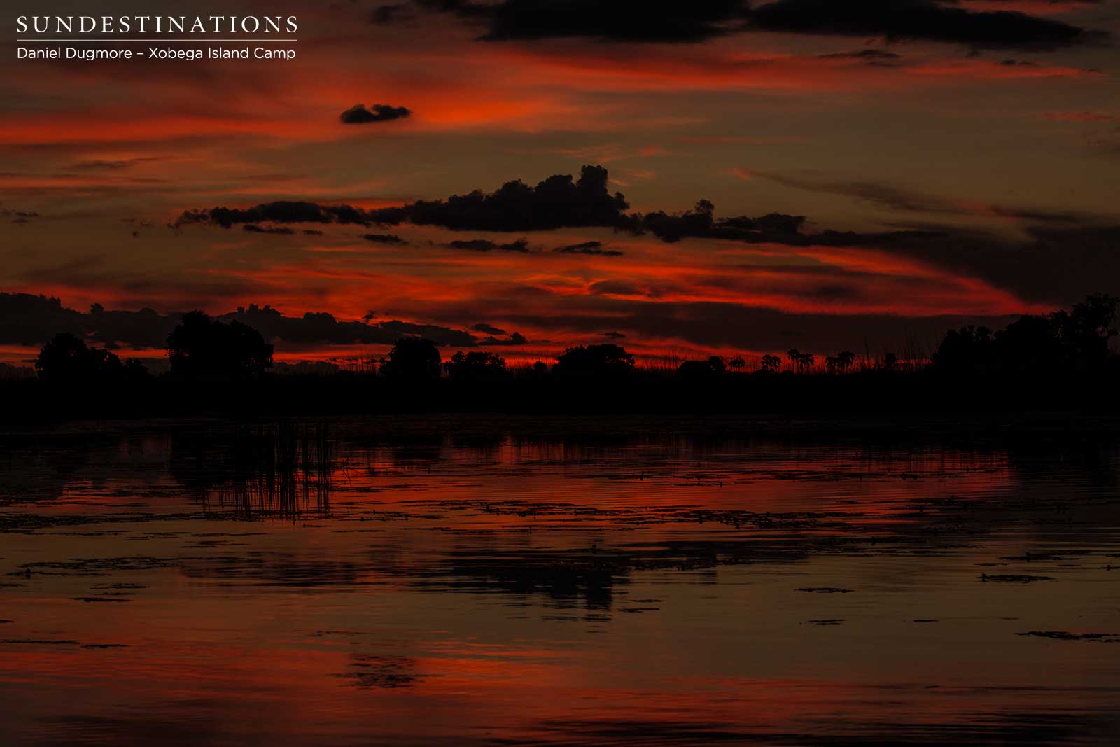 A fiery sunset ending another day in the Okavango Delta, beautifully. A fiery sunset ending another day in the Okavango Delta, beautifully.