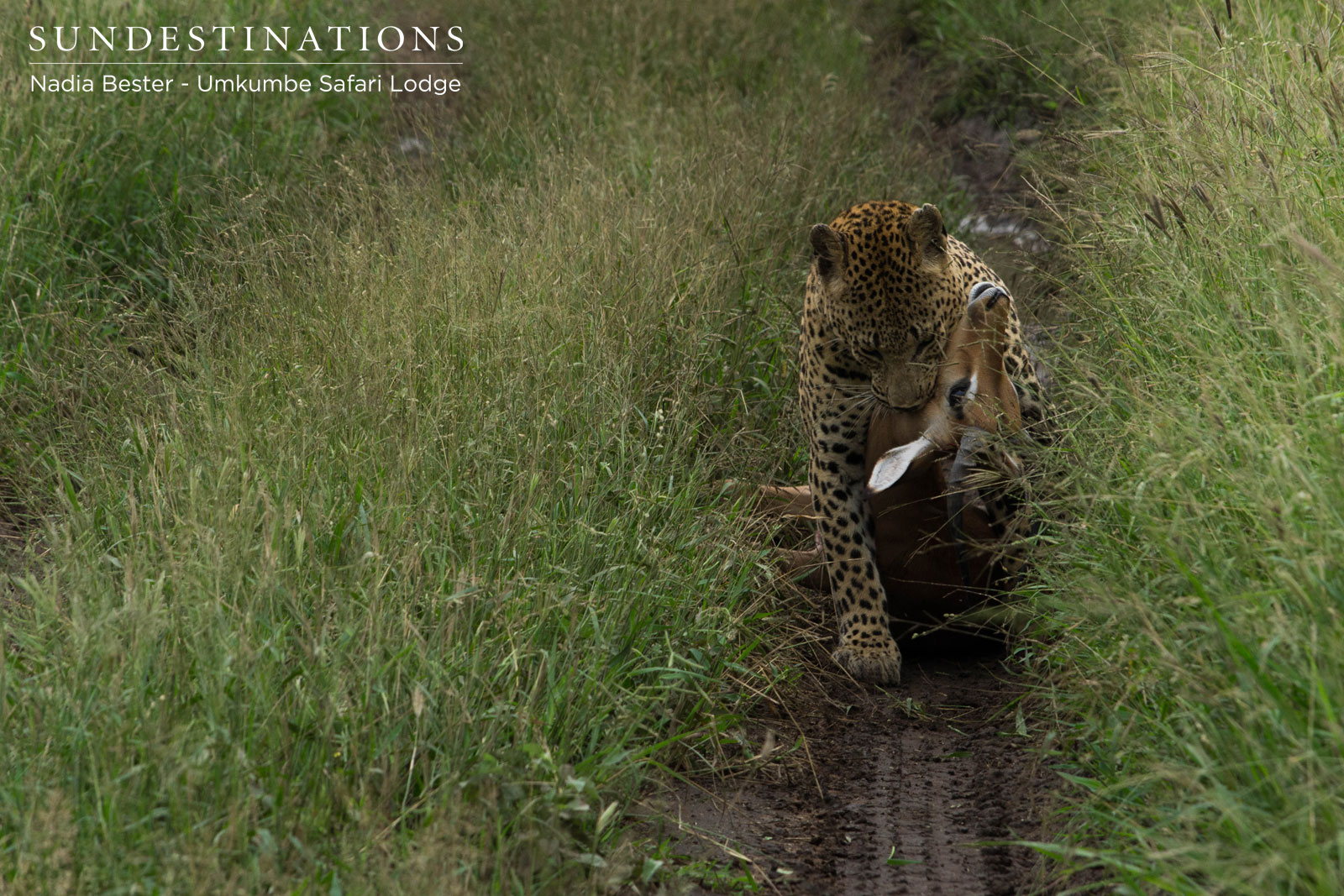 Umkumbe Mxabene with Kill Umkumbe Mxabene with Kill