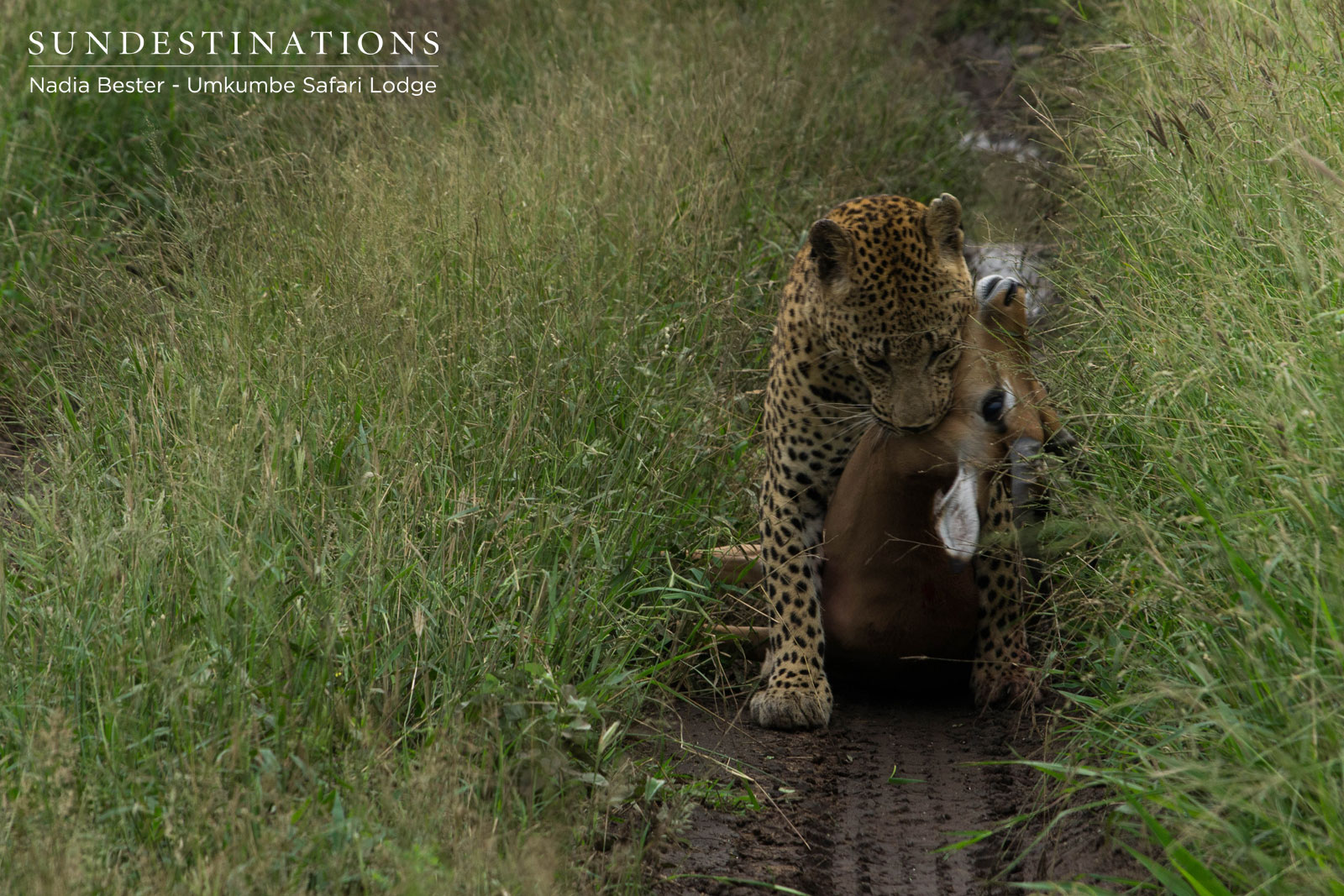 Umkumbe Mxabene Umkumbe Mxabene