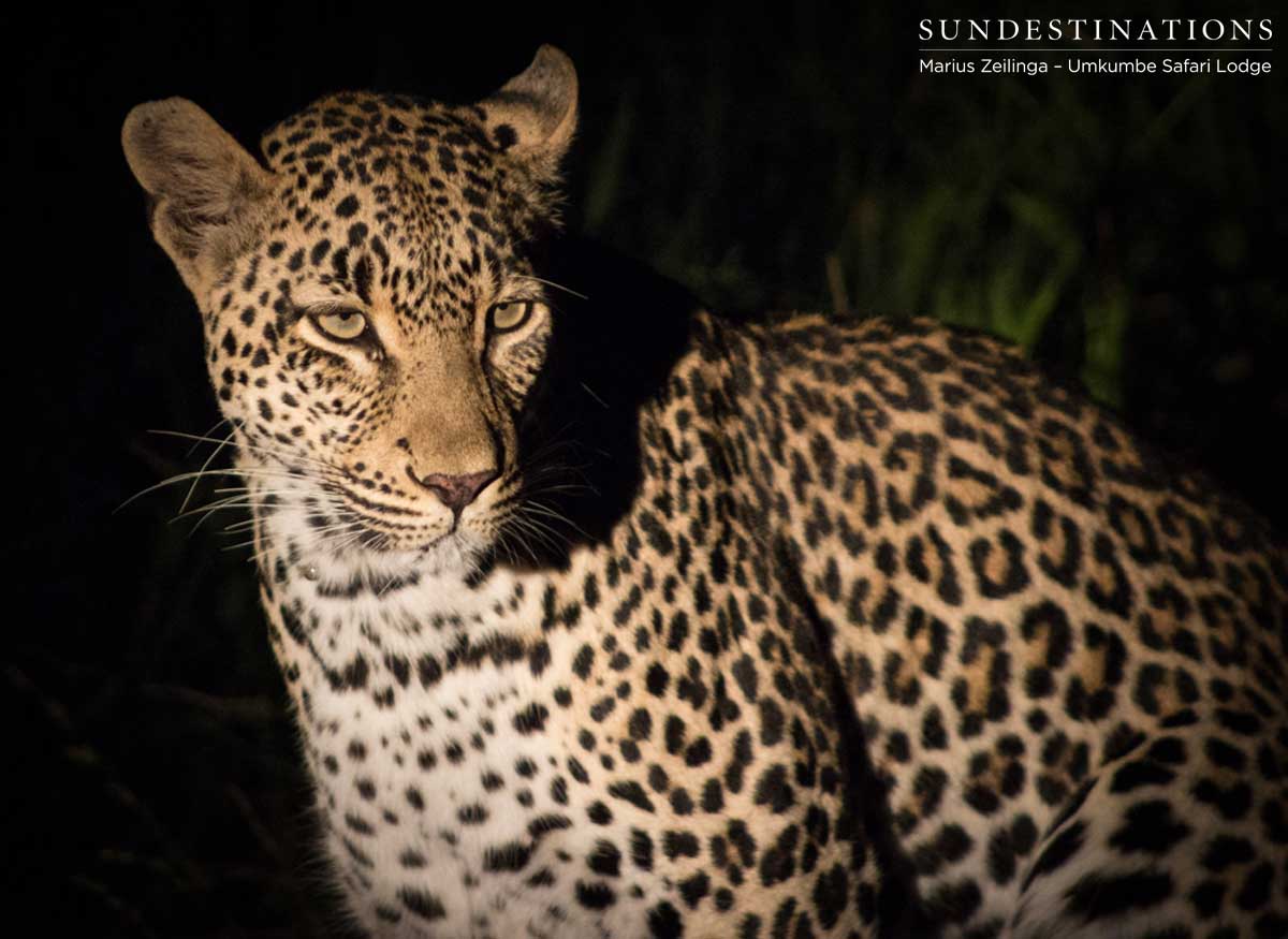 Tatowa Umkumbe Tatowa Umkumbe