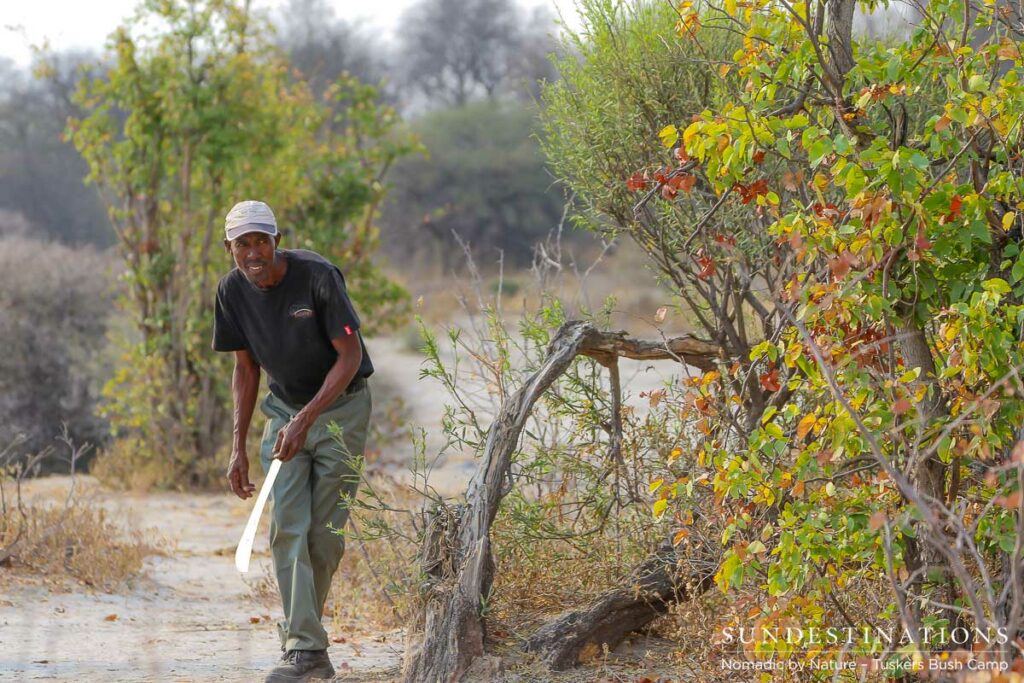 Walking safari at Tuskers Bush Camp Walking safari at Tuskers Bush Camp