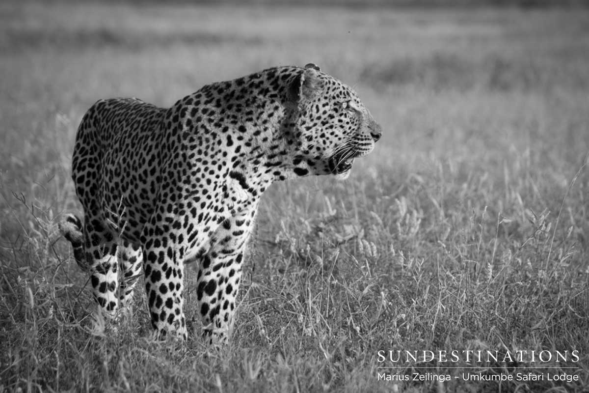 Umkumbe Bicycle Crossing Umkumbe Bicycle Crossing