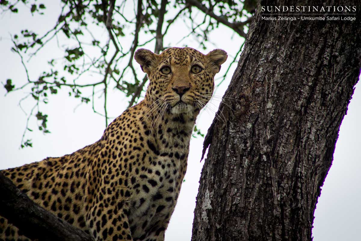 White Dam from Umkumbe White Dam from Umkumbe