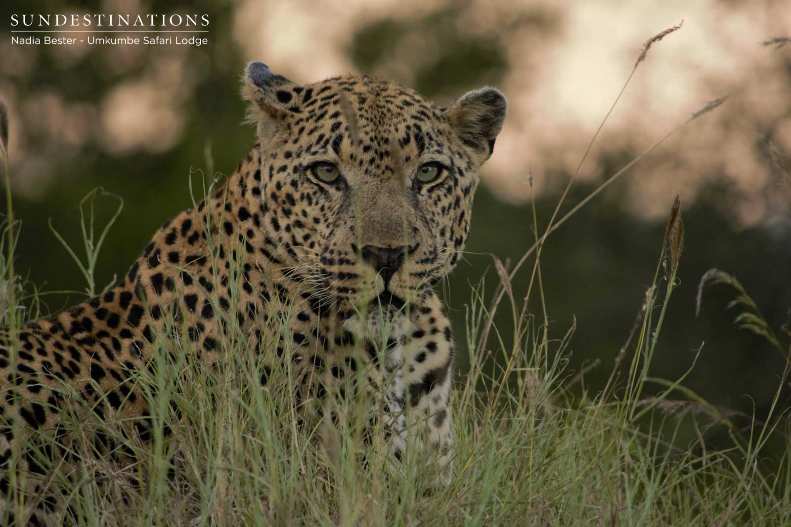 Bicycle Crossing Male Bicycle Crossing Male