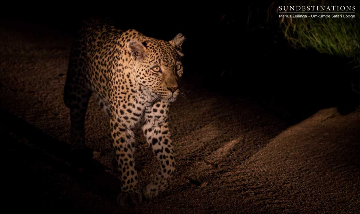 White Dam in the Darkness White Dam in the Darkness