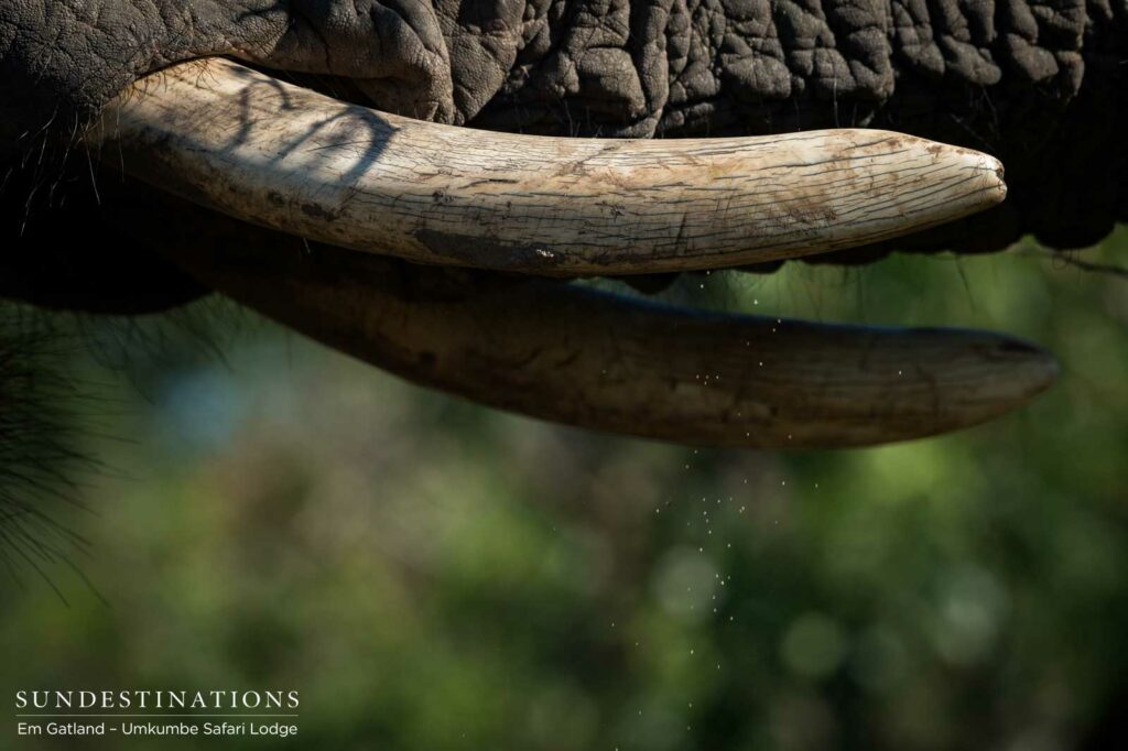 Tools of the trade, up close and in detail Tools of the trade, up close and in detail