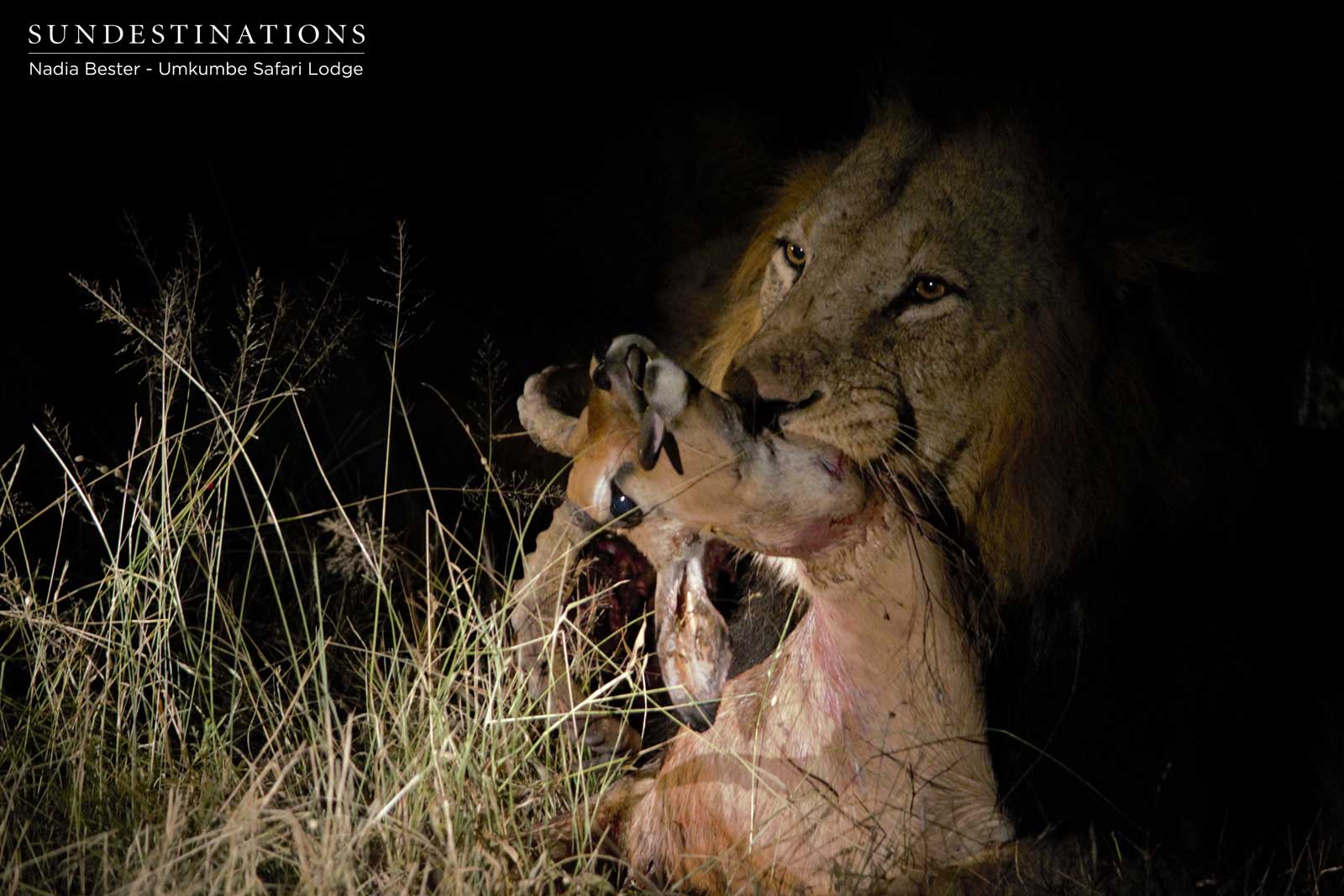 Matshapiri on Kill Matshapiri on Kill