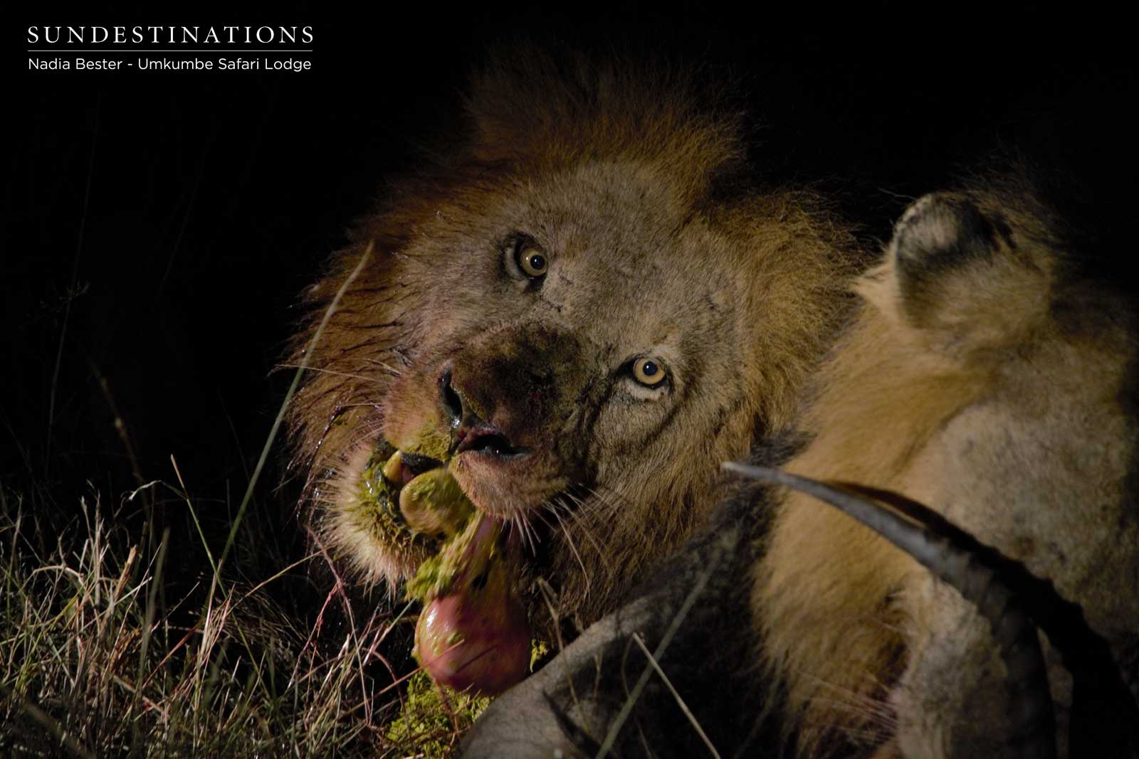 Matshipiri Devouring Kill Matshipiri Devouring Kill