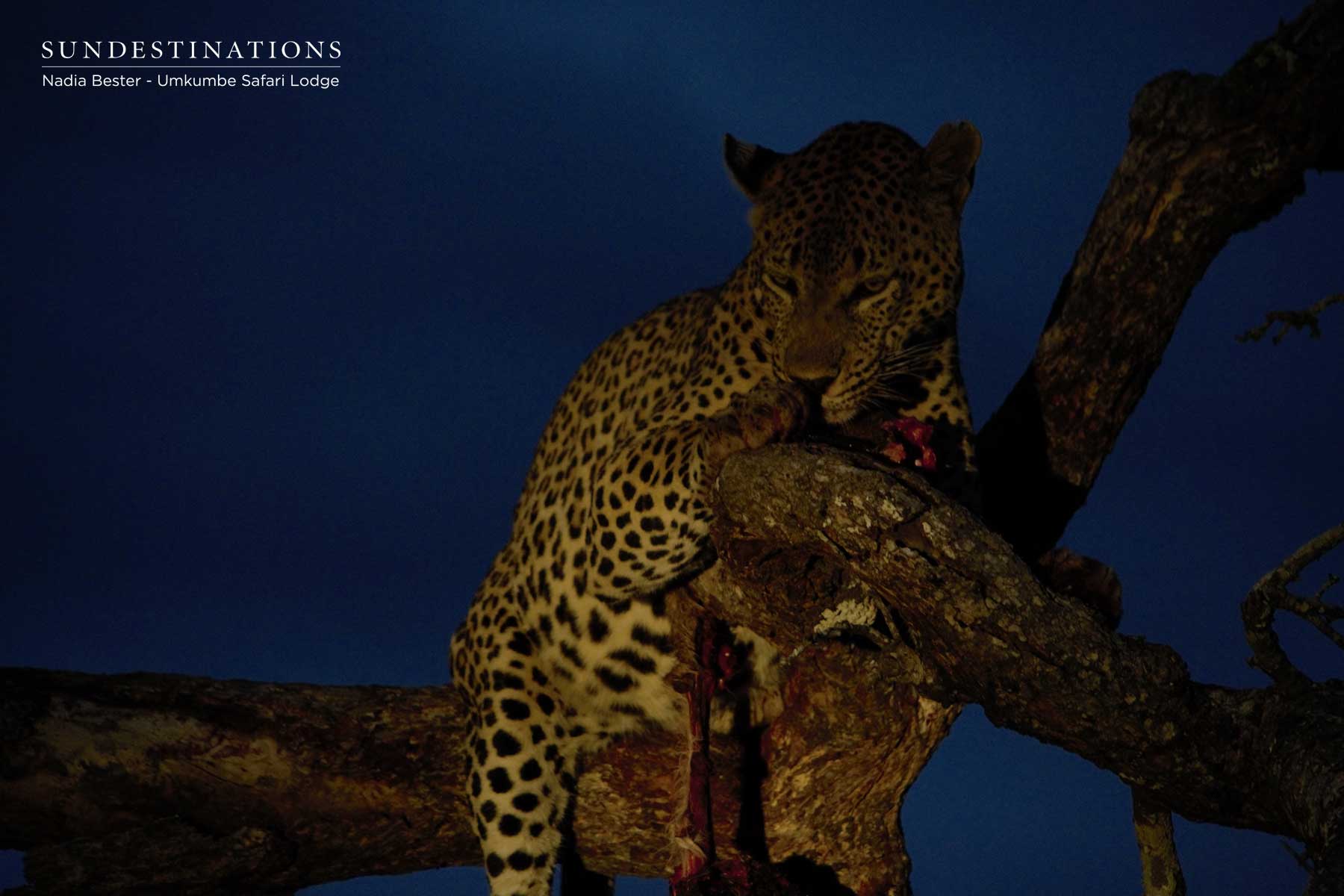 Mxabene with Kill Mxabene with Kill