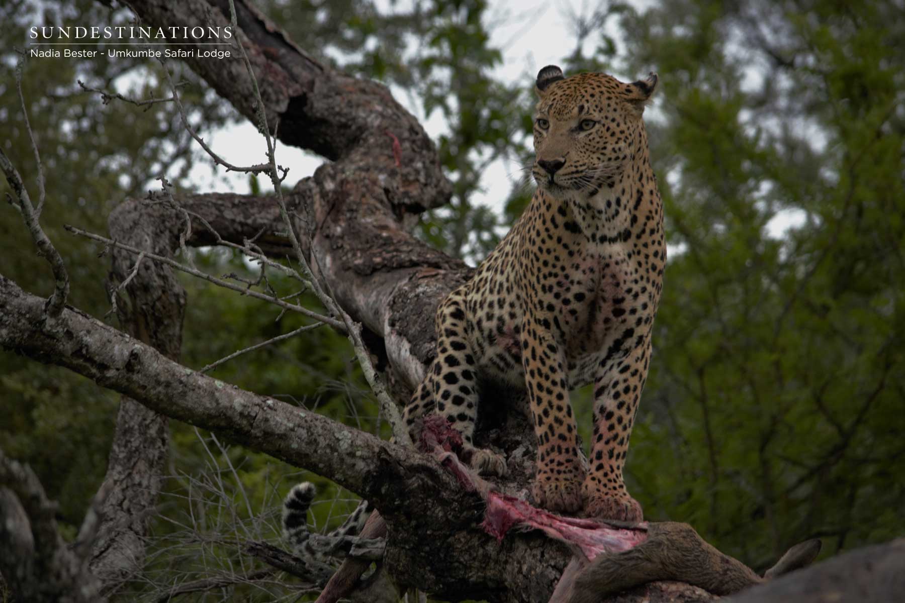 Mxabene in the Day Mxabene in the Day