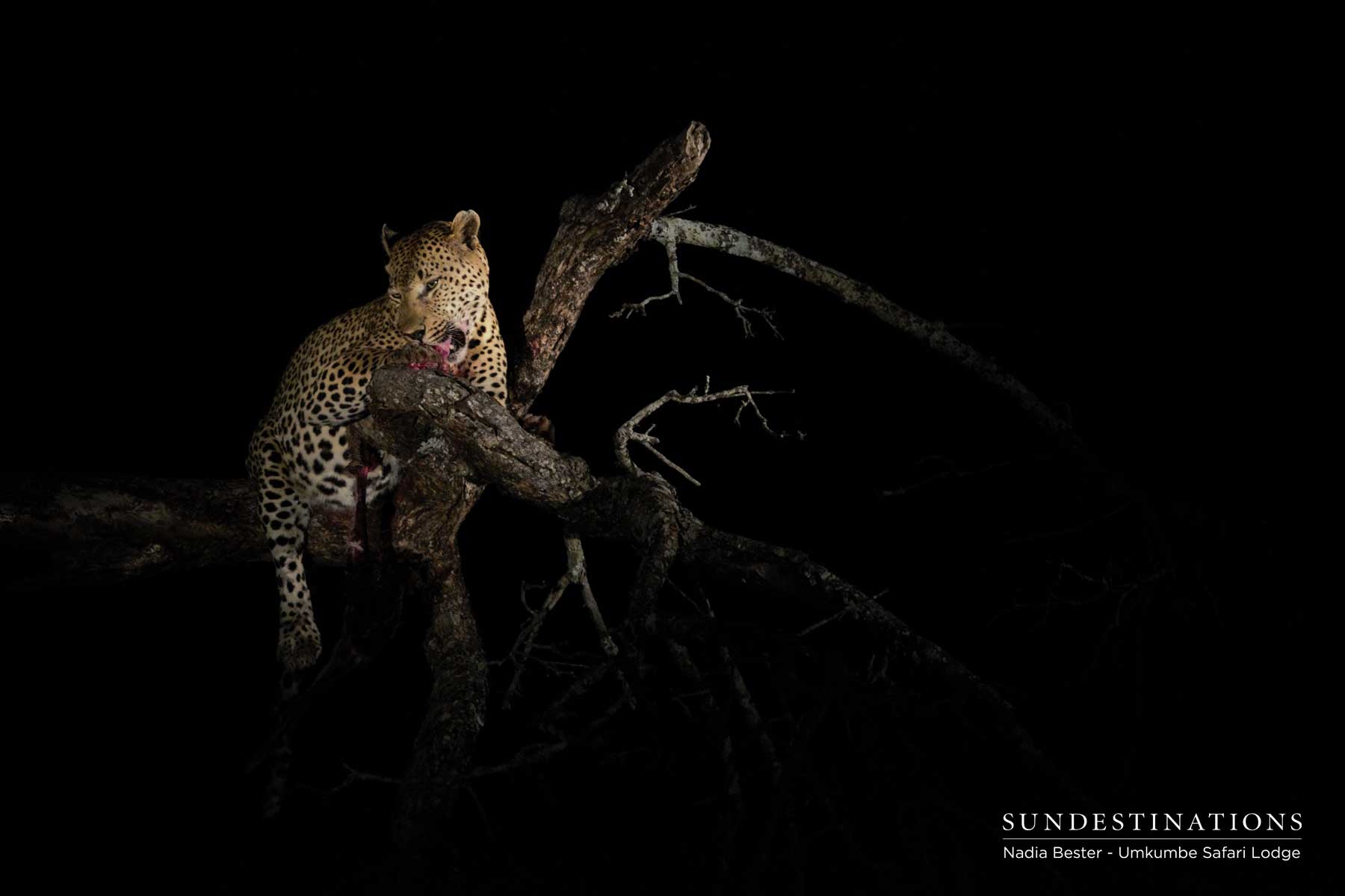 Mxabene with Kill Sabi Sand Mxabene with Kill Sabi Sand