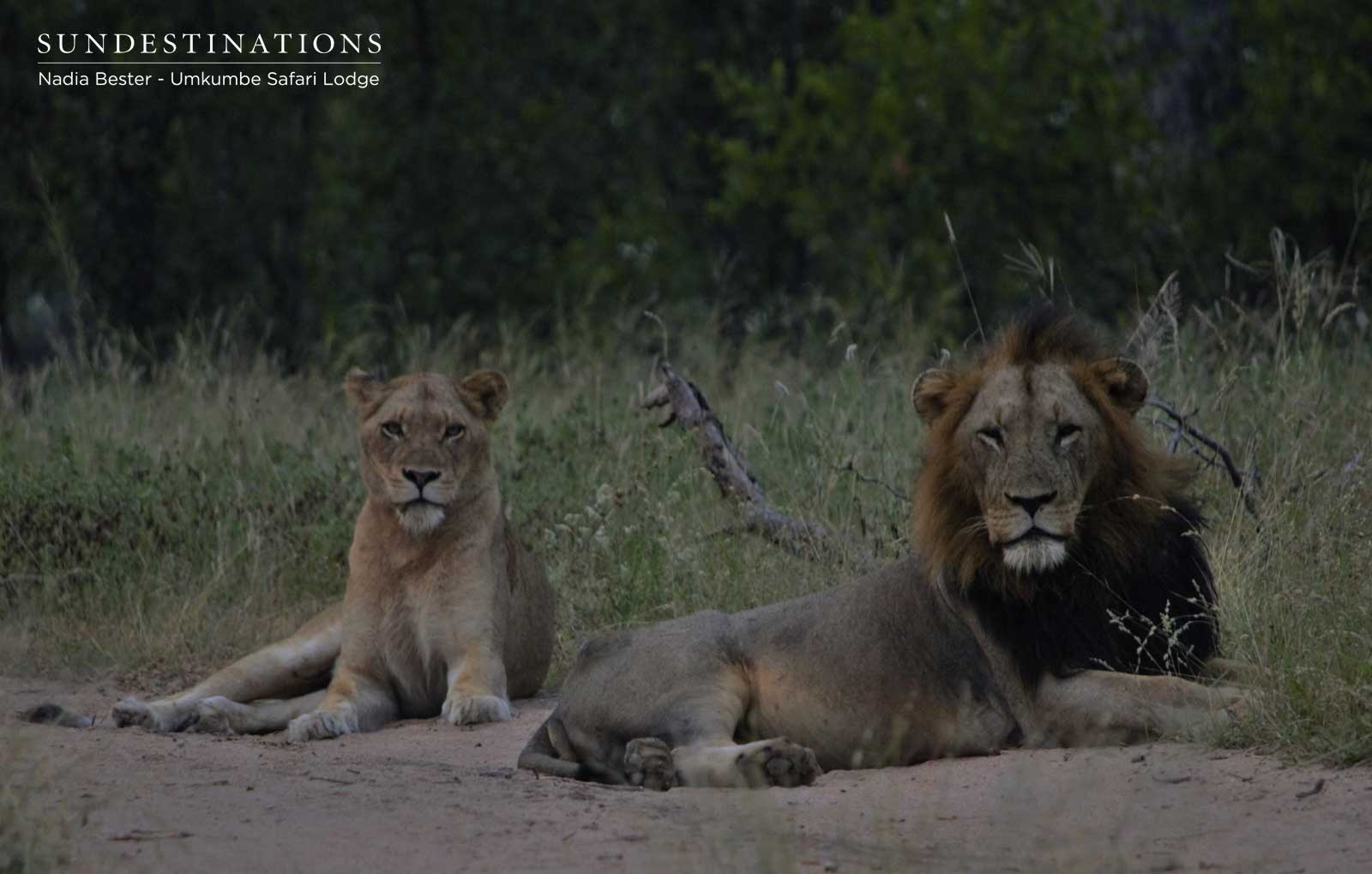 Mhangeni with Matshipiri Mhangeni with Matshipiri