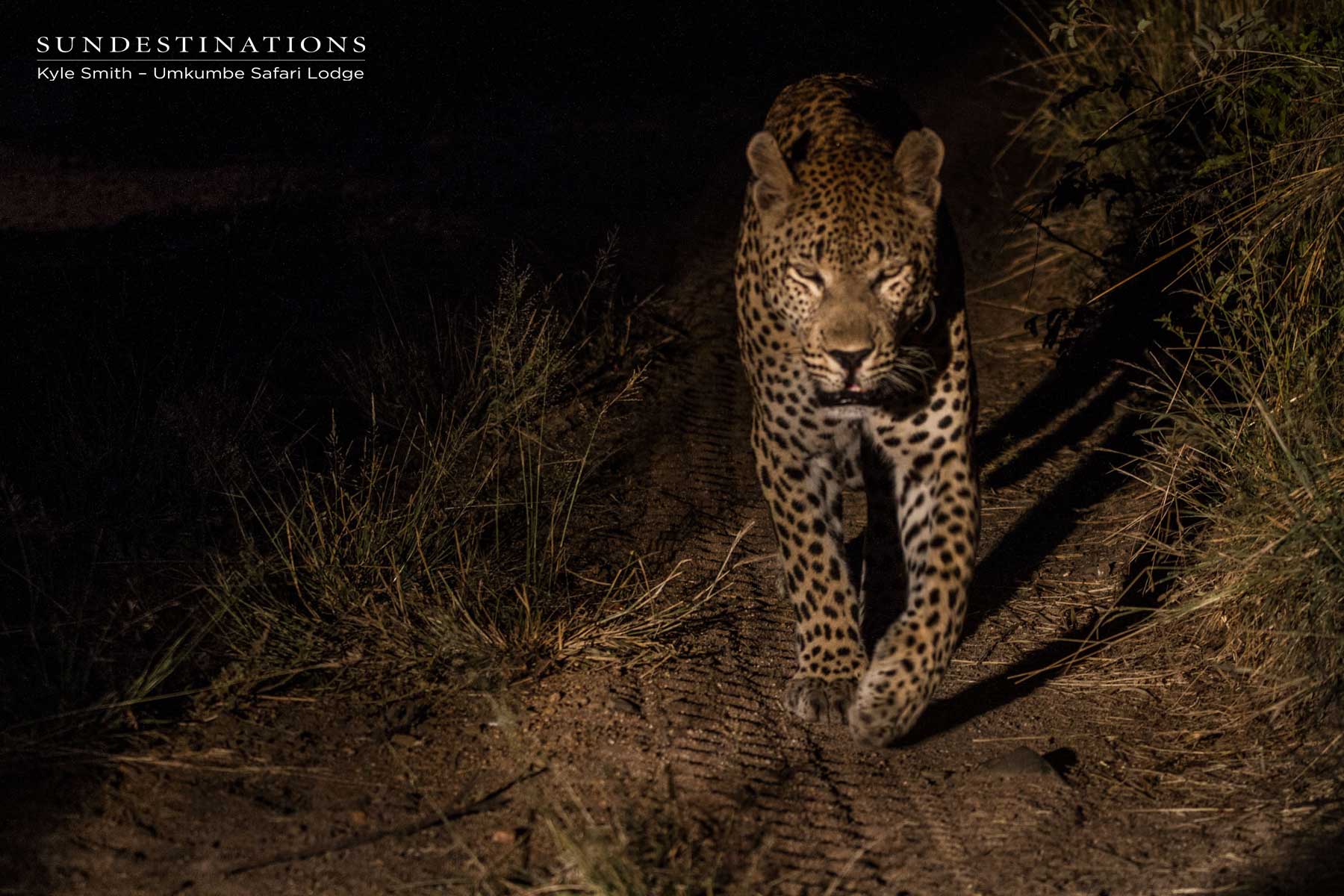 Mxabene Walking on Road Mxabene Walking on Road