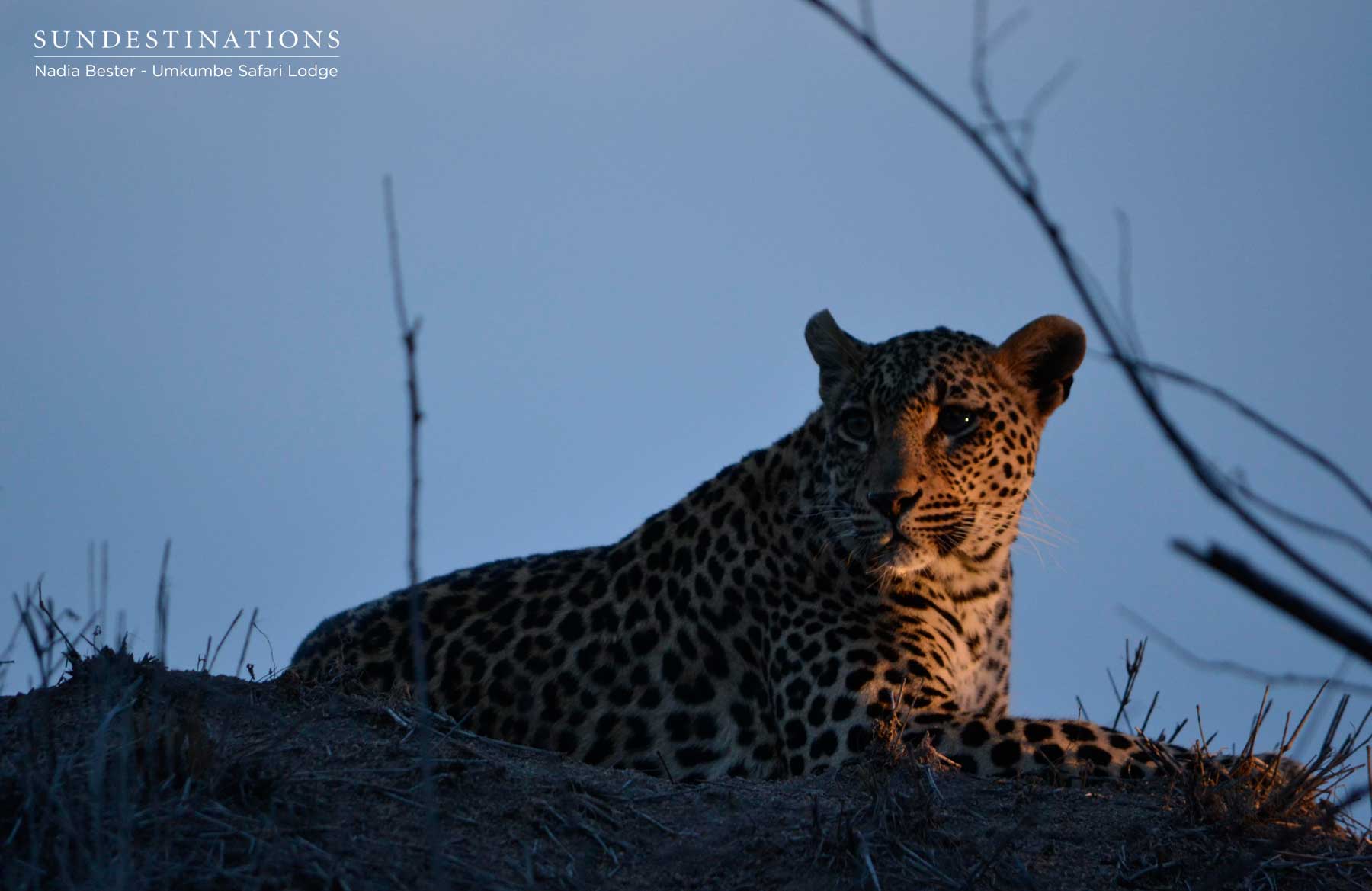 Tatowa Umkumbe Tatowa Umkumbe