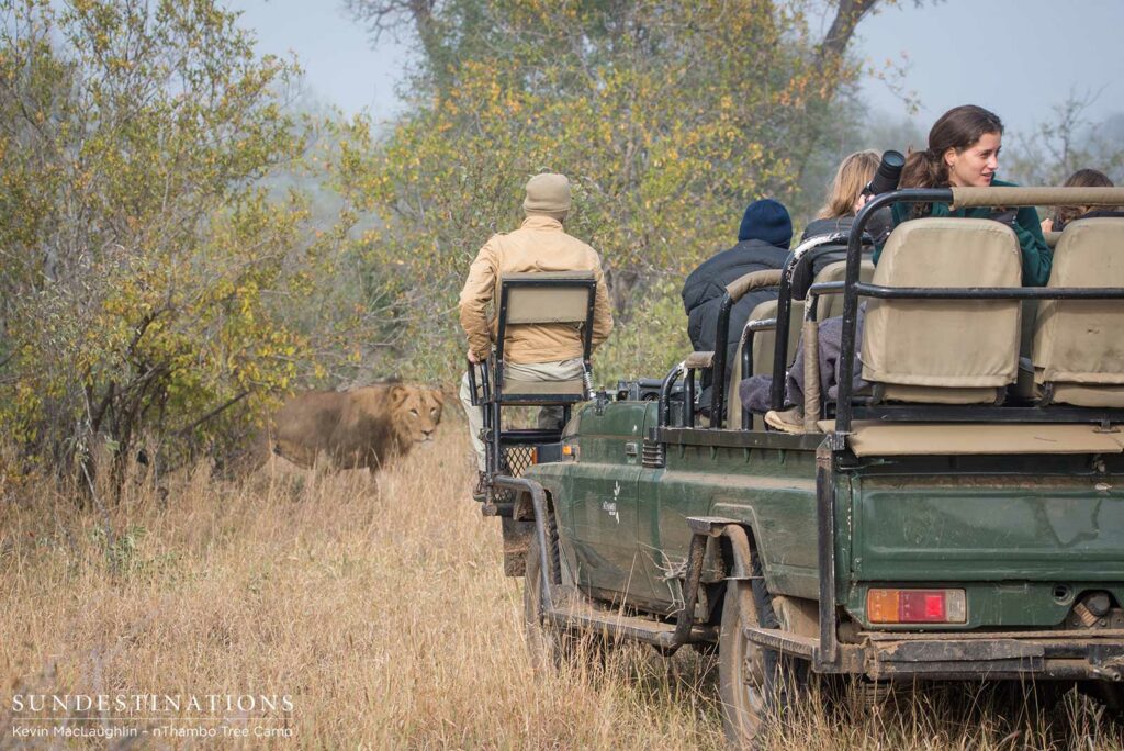 Trilogy male returns and teams up with younger male Trilogy male returns and teams up with younger male