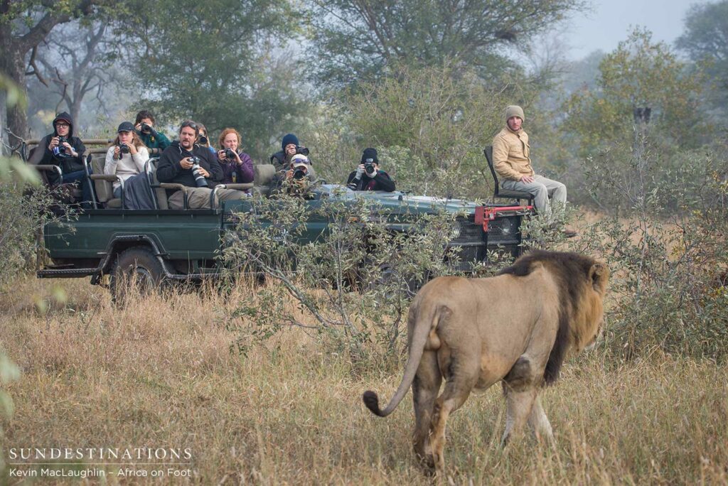 Trilogy male returns and teams up with younger male Trilogy male returns and teams up with younger male