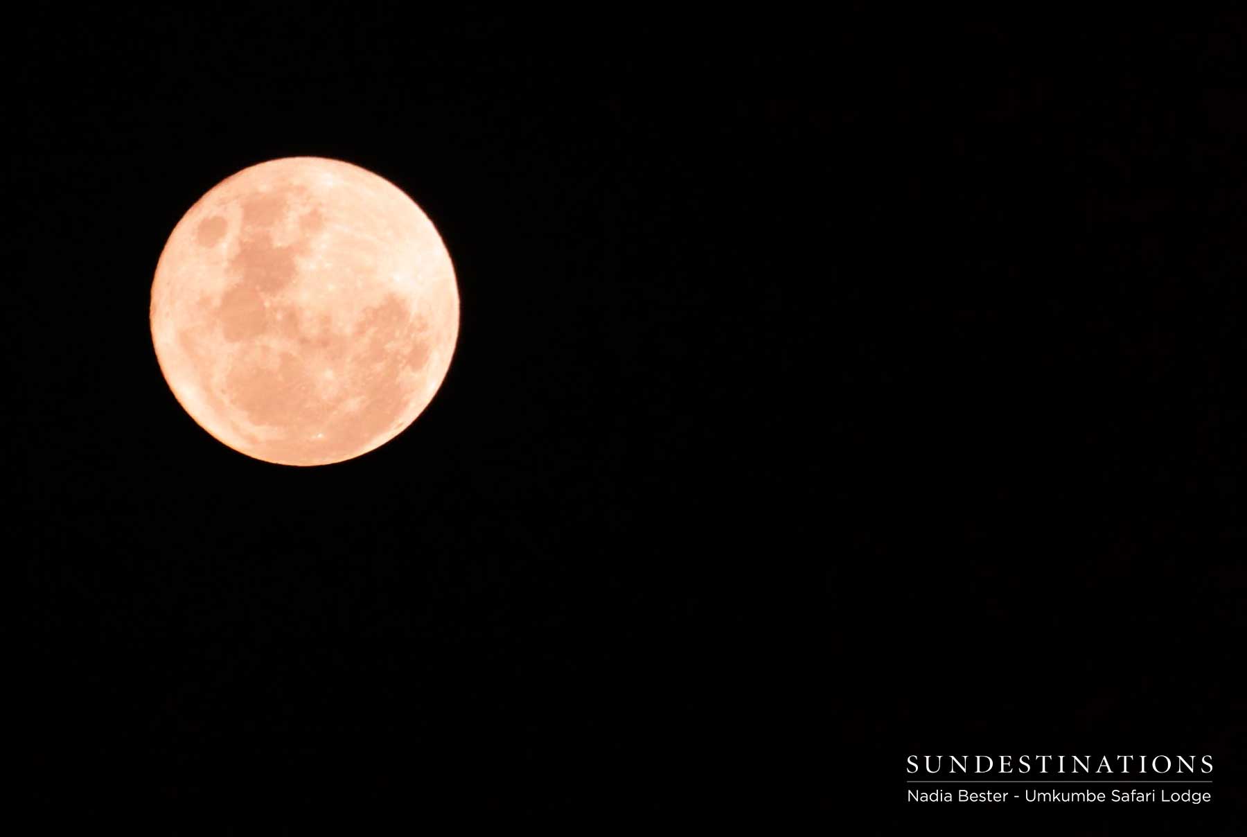 Full Moon Umkumbe Full Moon Umkumbe