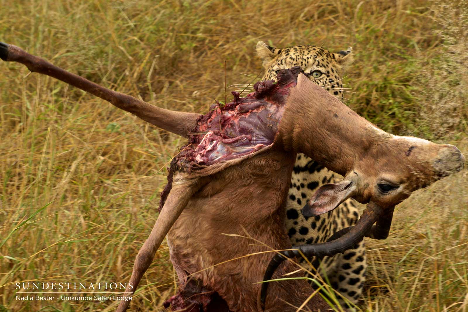 Inyahtini with Kill Inyahtini with Kill