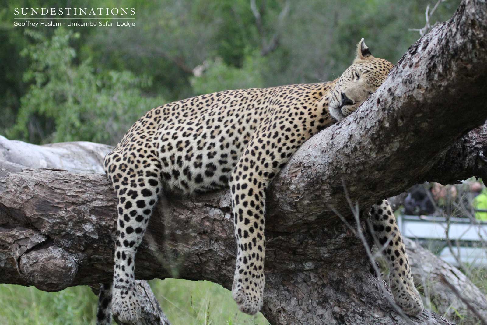 Mxabene sleeping Mxabene sleeping