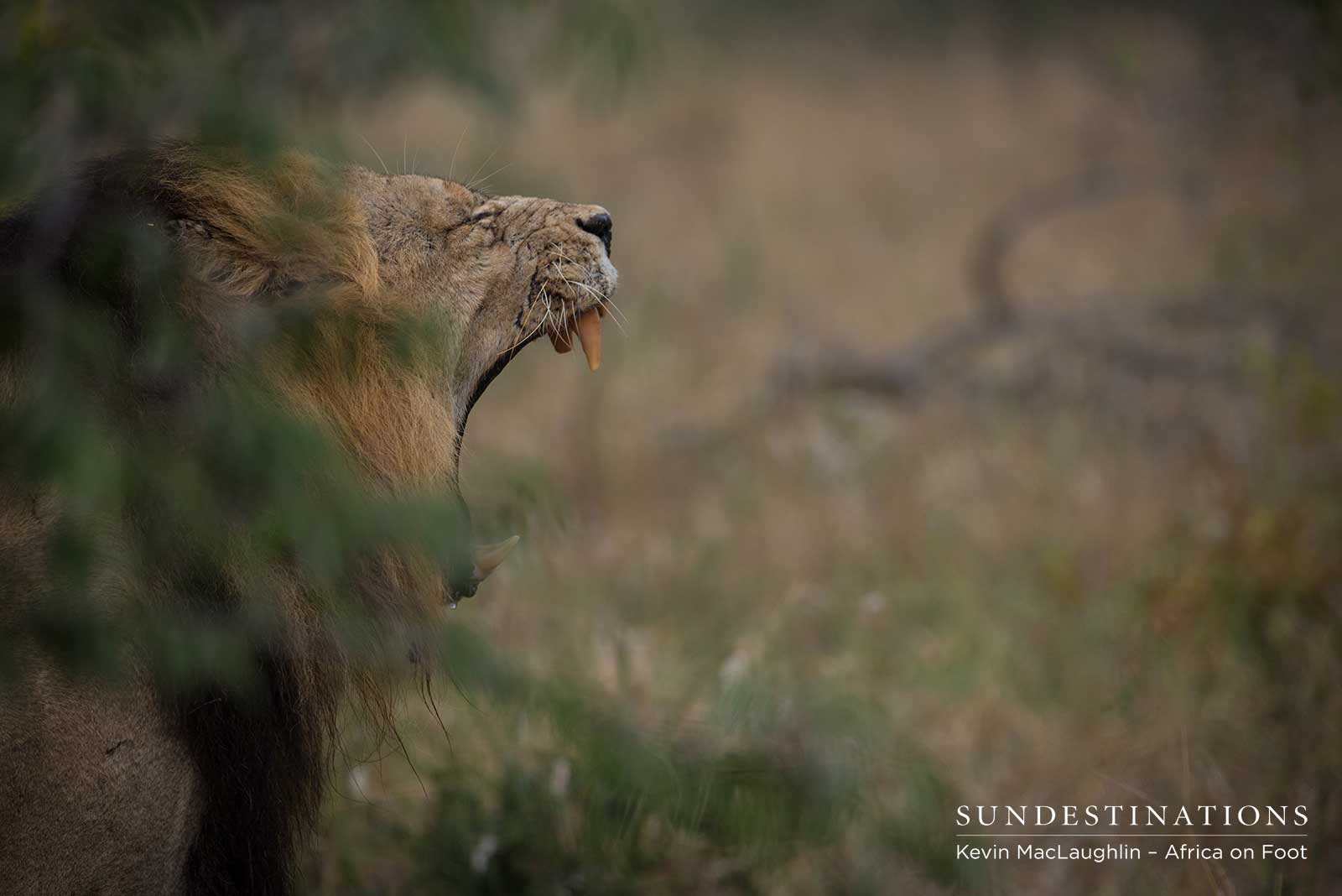 Trilogy Africa on Foot Trilogy Africa on Foot