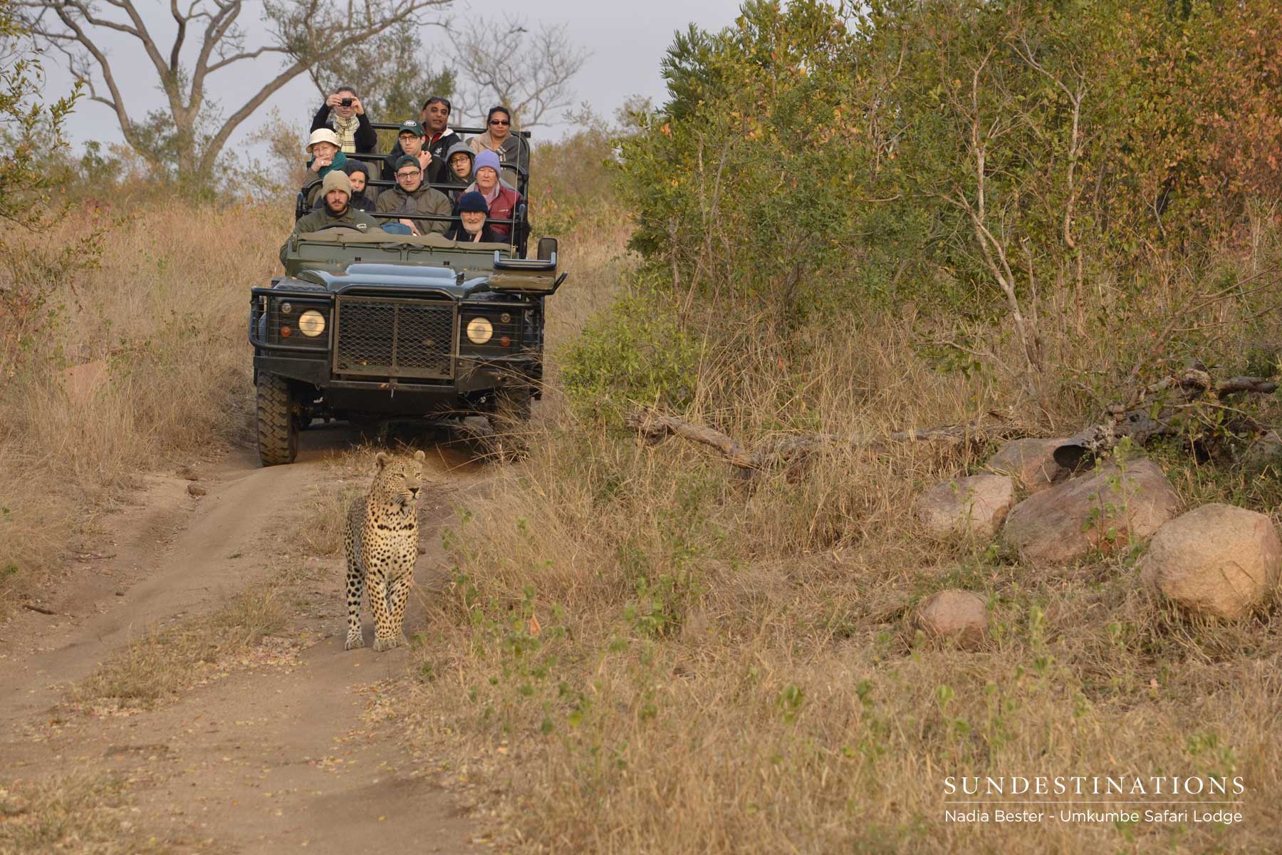 Mxabene Followed by Vehicle Mxabene Followed by Vehicle