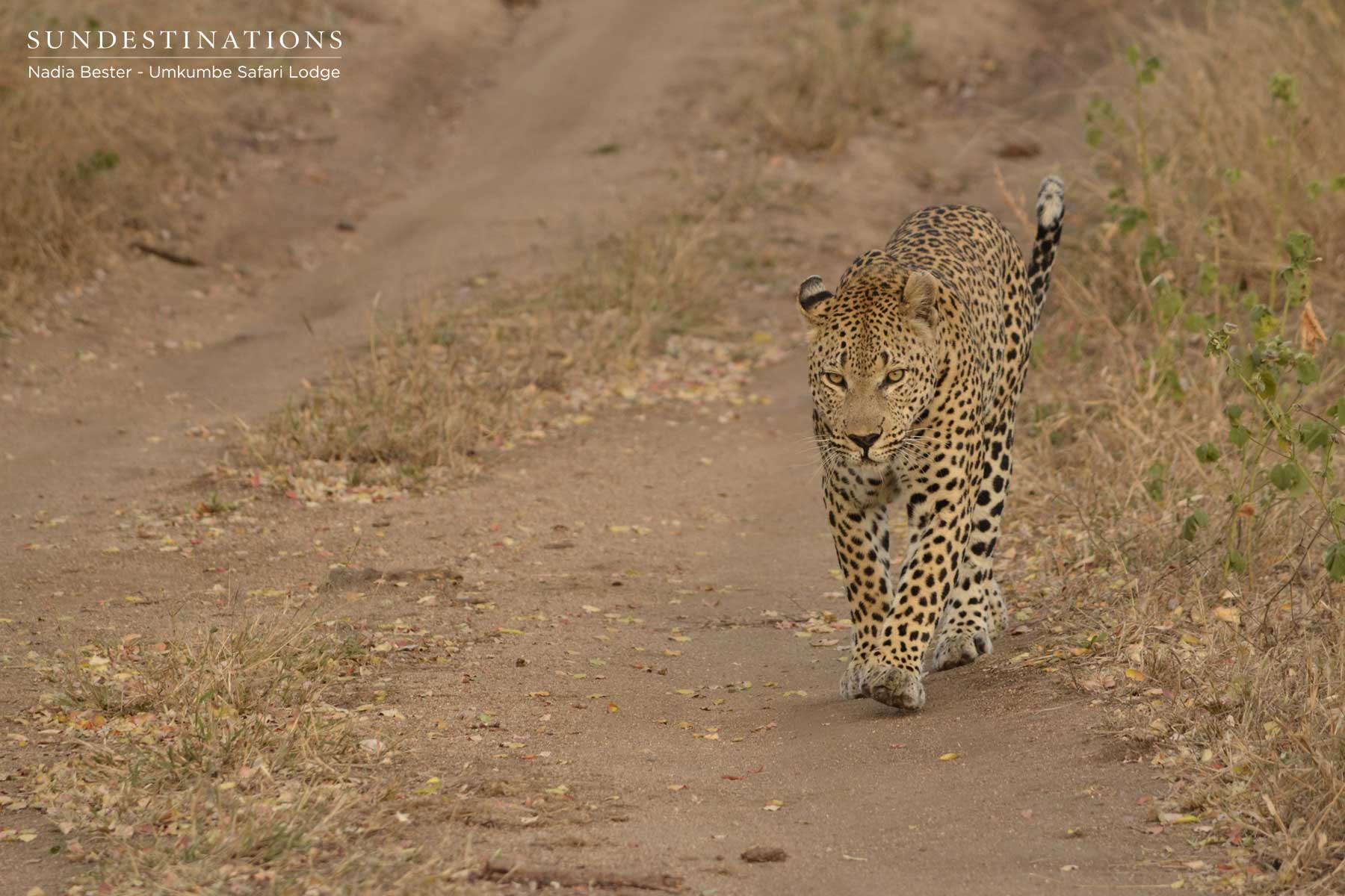 Mxabene Walking Mxabene Walking