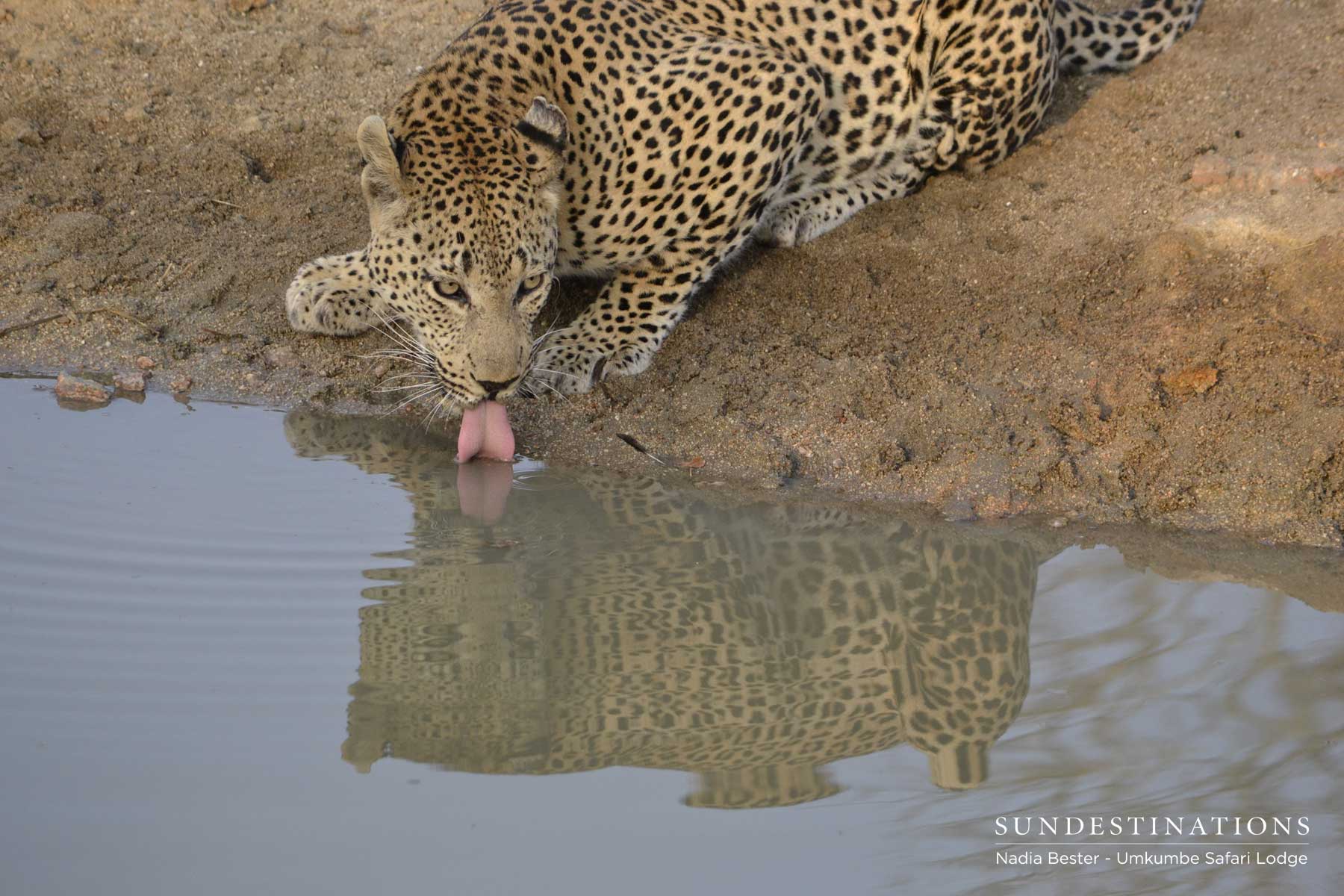 Mxabene Lapping Water Mxabene Lapping Water