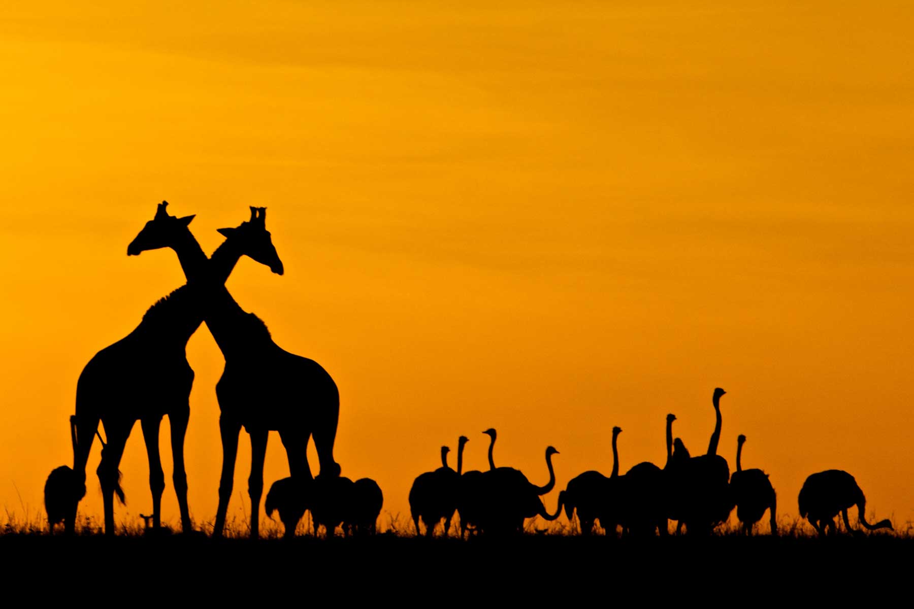 Warren Samuels Sunset Warren Samuels Sunset