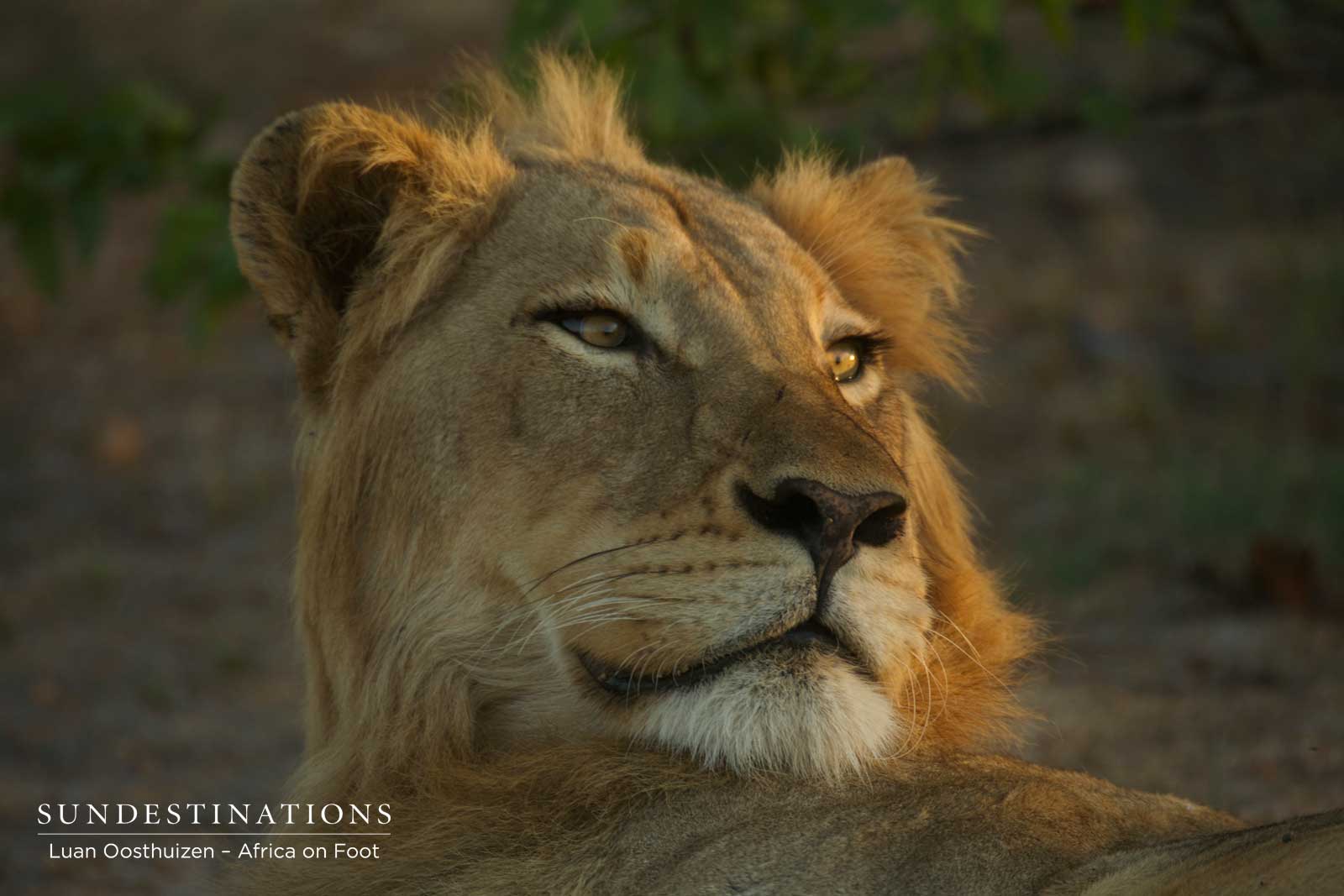 Africa on Foot Nomadic Male Africa on Foot Nomadic Male