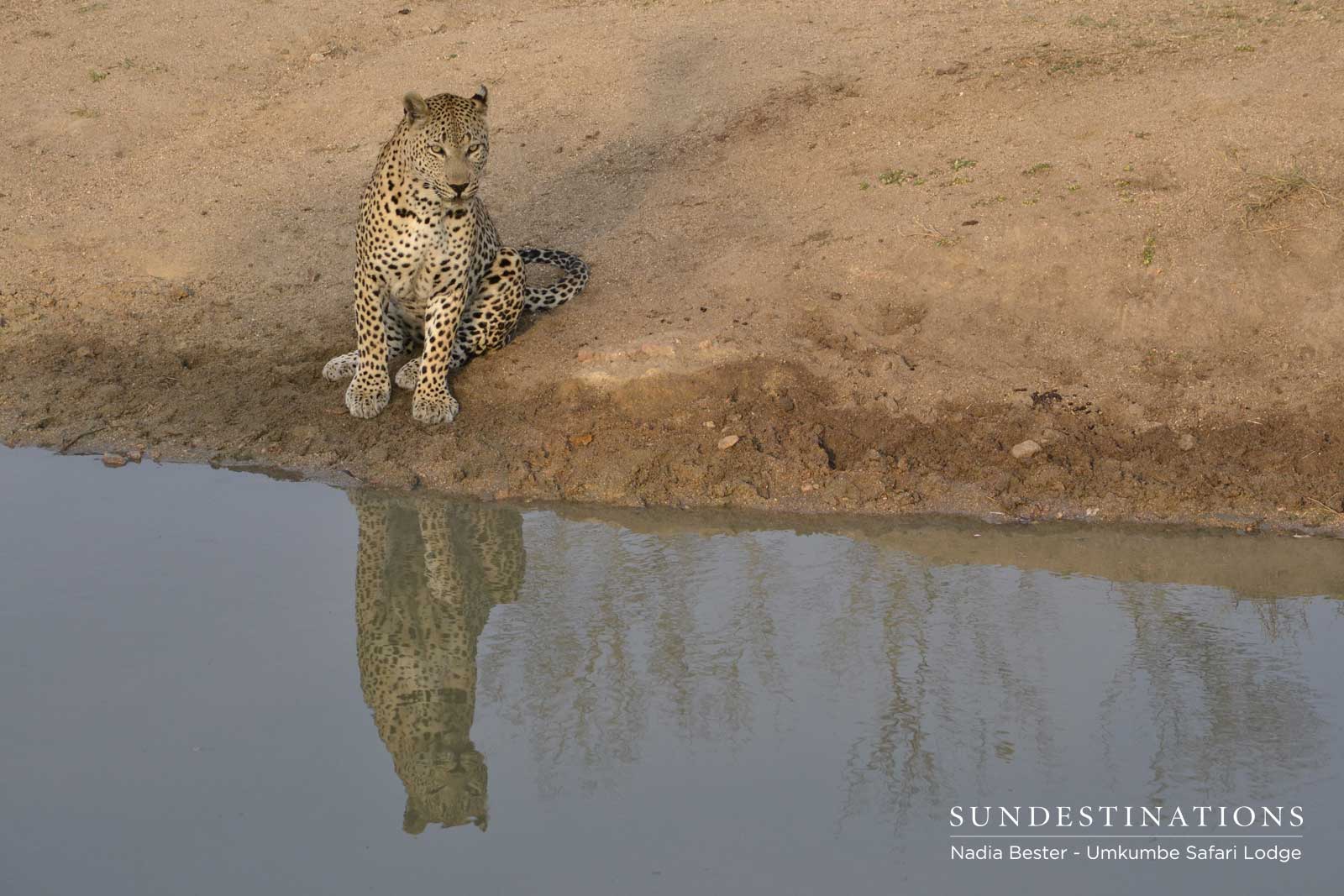 Mxabene Umkumbe Mxabene Umkumbe