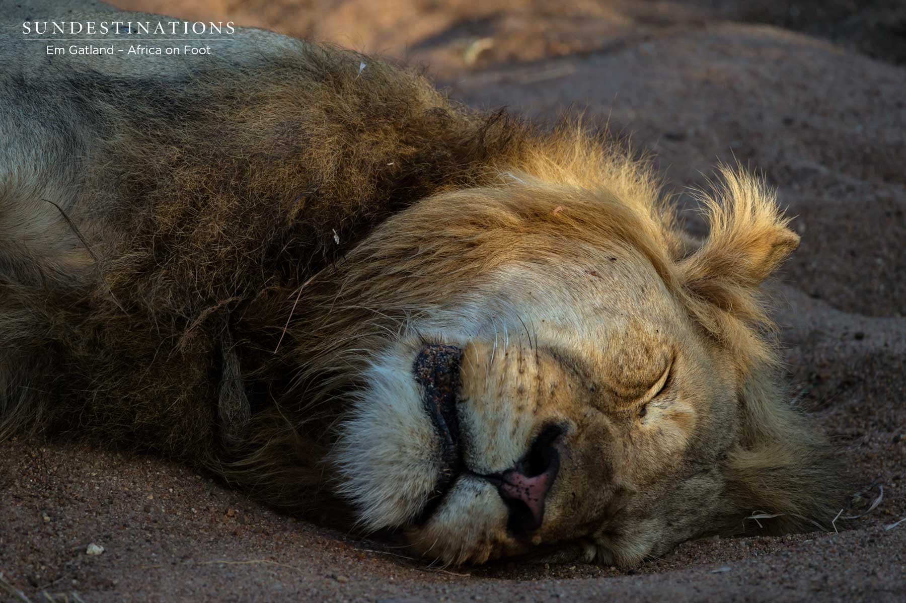 Mbiri Male Klaserie Mbiri Male Klaserie