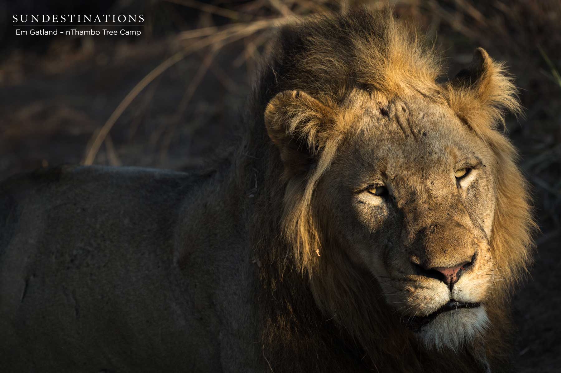 Mbiri Male Mane Mbiri Male Mane