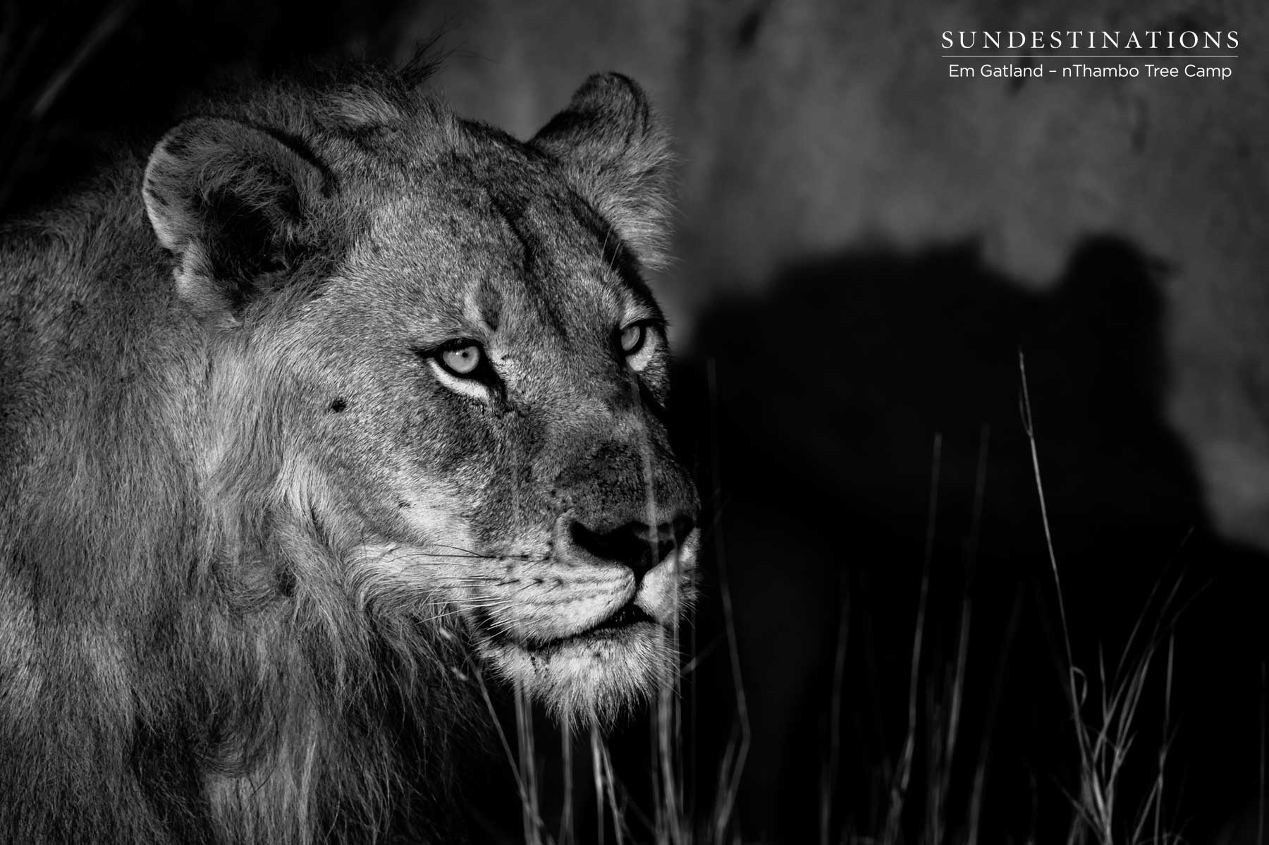 Mbiri Youngster Mbiri Youngster