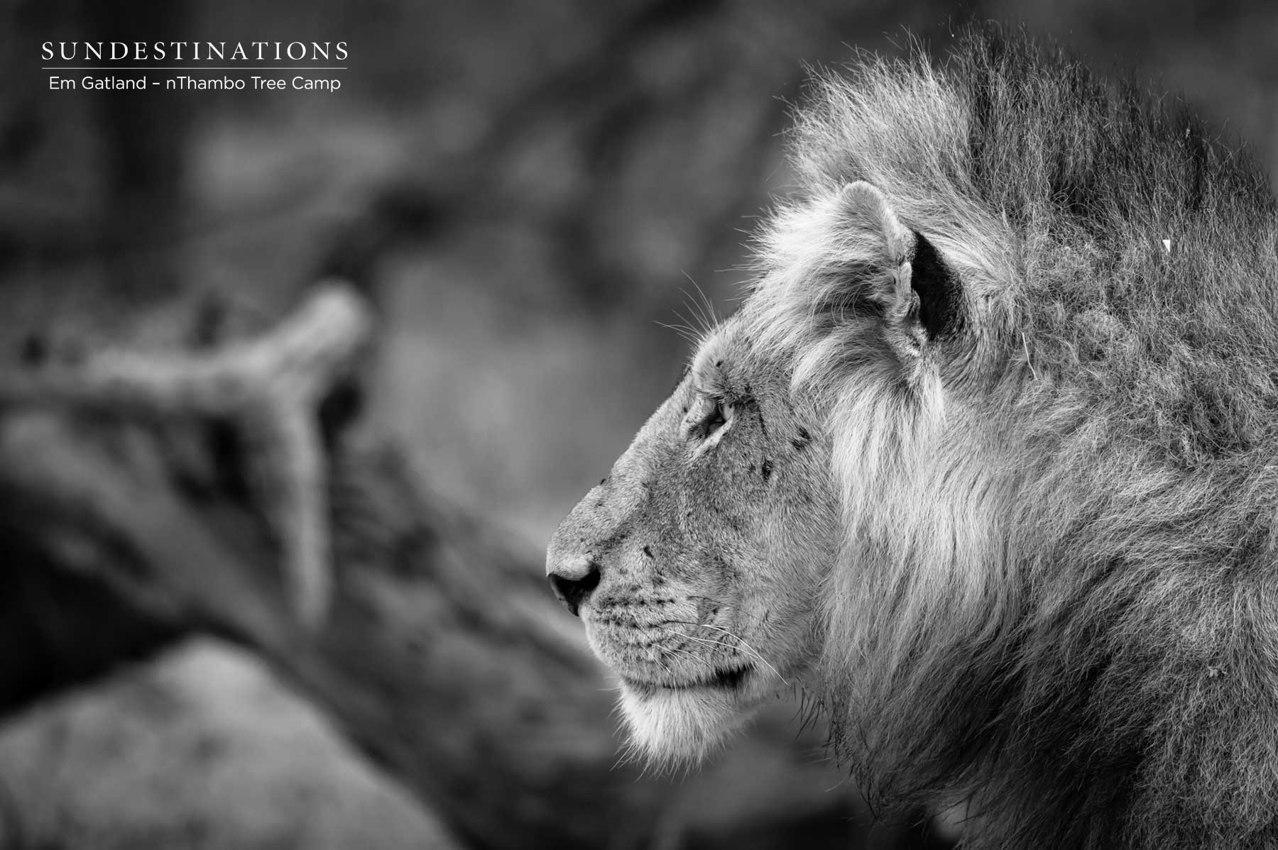 Mbiri Males Klaserie Mbiri Males Klaserie